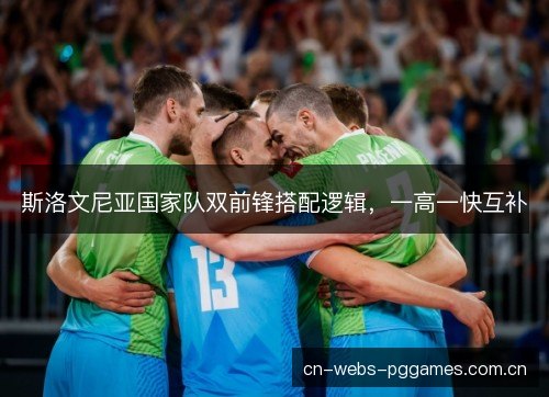 斯洛文尼亚国家队双前锋搭配逻辑，一高一快互补